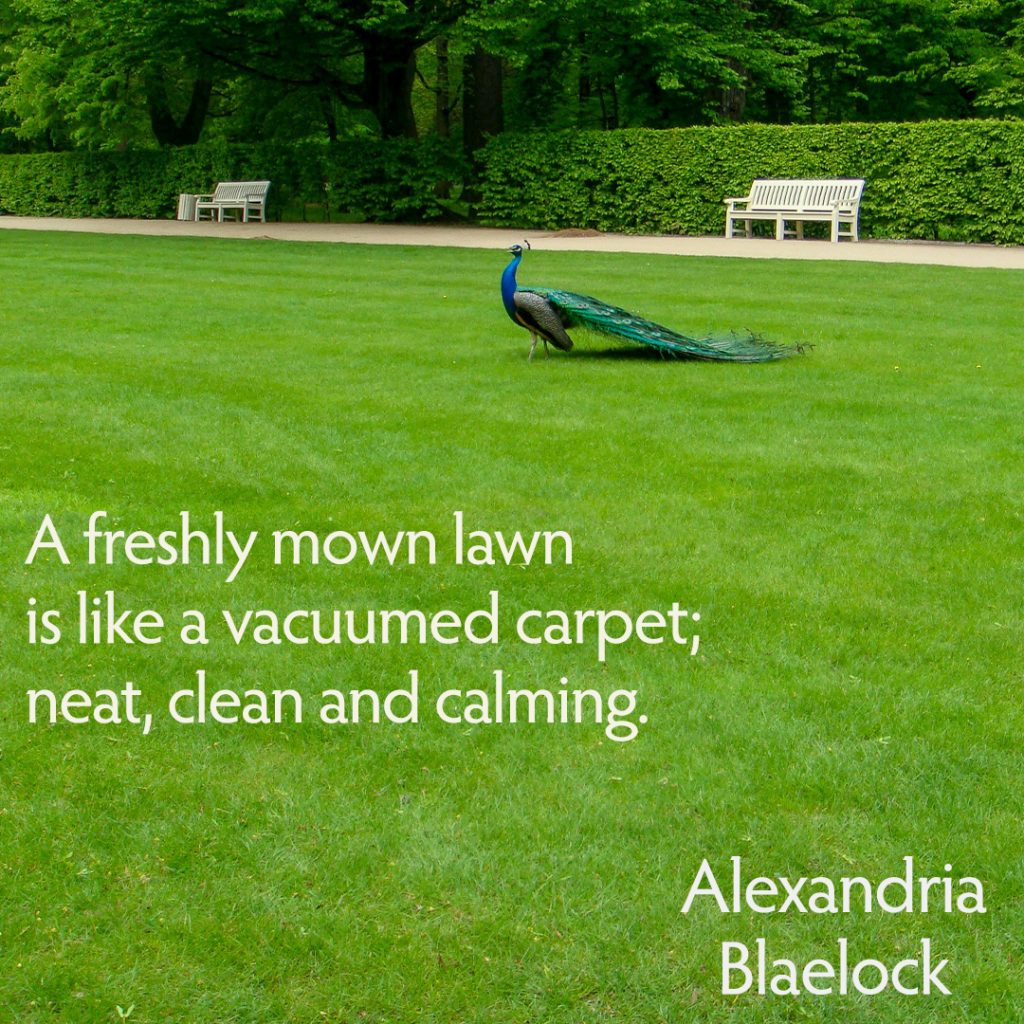 Freshly Mown Lawn