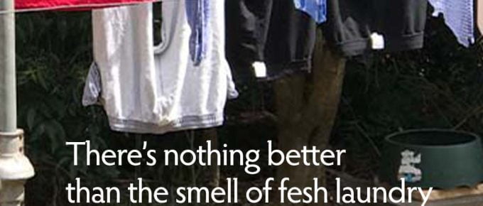 Smell of Fresh laundry